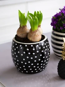Горщик-кашпо для рослин чорний MBM HOME модель DH-FLOWERS-27 BLACK Фото