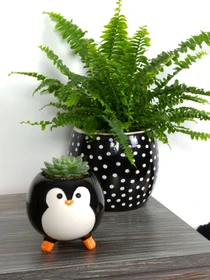 Горщик-кашпо для рослин чорний MBM HOME модель DH-FLOWERS-27 BLACK Фото