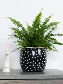 Горщик-кашпо для рослин чорний MBM HOME модель DH-FLOWERS-27 BLACK Фото