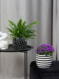 Горщик-кашпо для рослин чорний MBM HOME модель DH-FLOWERS-27 BLACK Фото