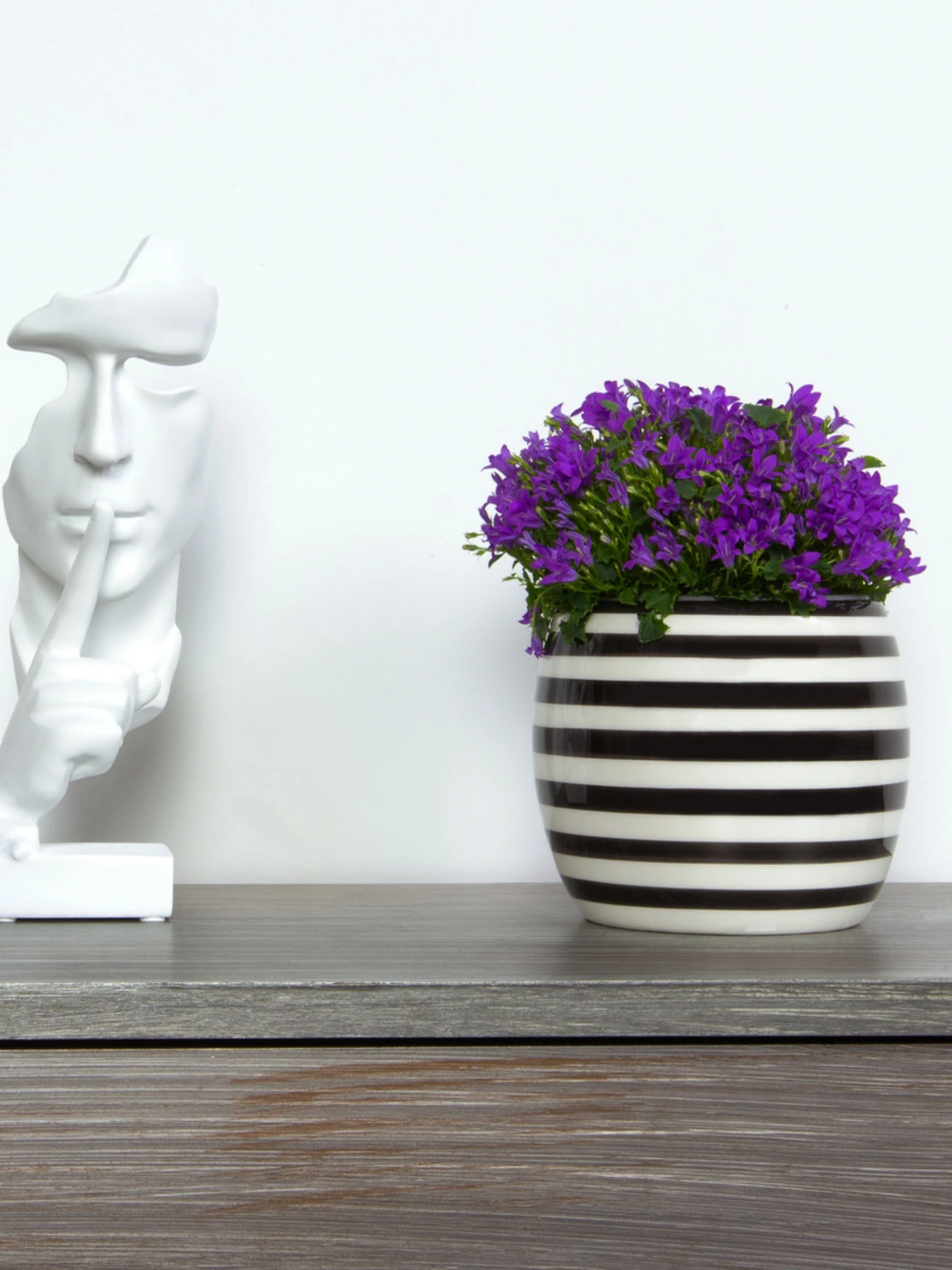 Горщик-кашпо для рослин чорно-білий MBM HOME модель DH-FLOWERS-27 WHITE/BLACK Фото