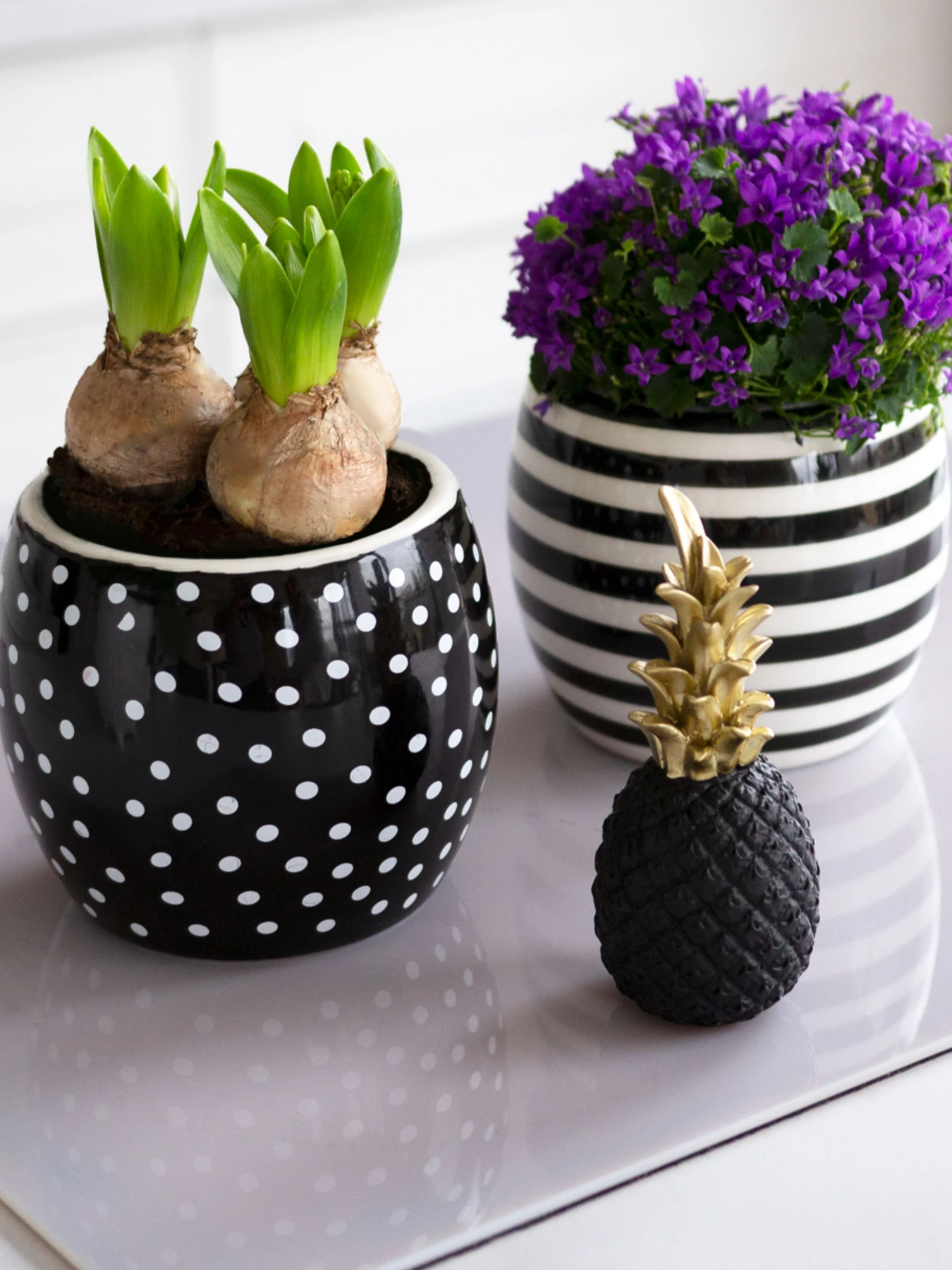 Горщик-кашпо для рослин чорно-білий MBM HOME модель DH-FLOWERS-27 WHITE/BLACK Фото