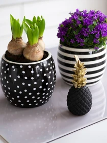 Горщик-кашпо для рослин чорно-білий MBM HOME модель DH-FLOWERS-27 WHITE/BLACK Фото