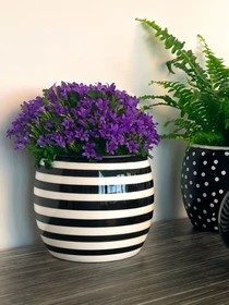 Горщик-кашпо для рослин чорно-білий MBM HOME модель DH-FLOWERS-27 WHITE/BLACK Фото