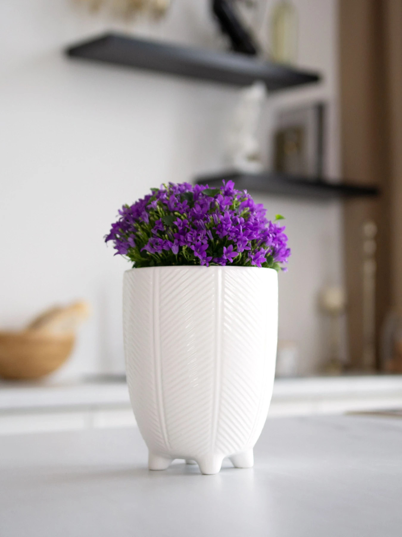 Горшок-кашпо для растений белый MBM HOME модель DH-FLOWERS-28 M WHITE Горшок-кашпо для растений белый MBM HOME модель DH-FLOWERS-28 M WHITE Фото