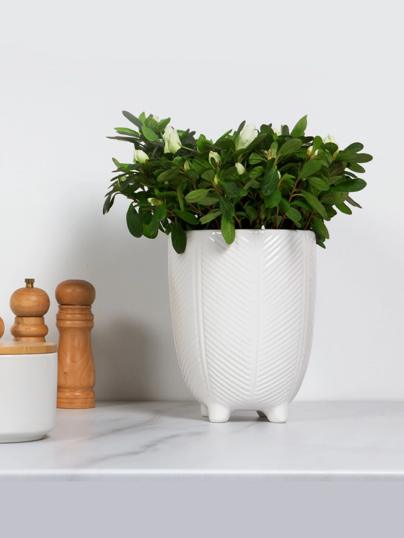 Горшок-кашпо для растений белый MBM HOME модель DH-FLOWERS-28 M WHITE Горшок-кашпо для растений белый MBM HOME модель DH-FLOWERS-28 M WHITE Фото