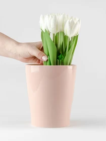 Горшок-кашпо для растений розовый MBM HOME модель DH-FLOWERS-29 PINK Фото