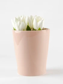 Горшок-кашпо для растений розовый MBM HOME модель DH-FLOWERS-29 PINK Фото