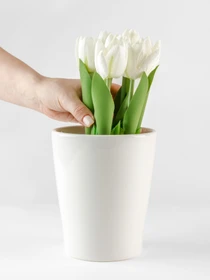 Горшок-кашпо для растений белый MBM HOME модель DH-FLOWERS-29 WHITE Фото