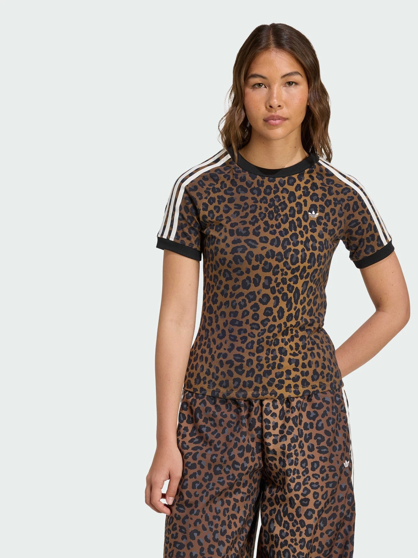Футболки и поло Adidas Superstar модель JW7304 Футболки и поло Adidas Superstar модель JW7304 Фото