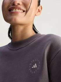 Худи и свитшоты Adidas модель JW4692 Фото