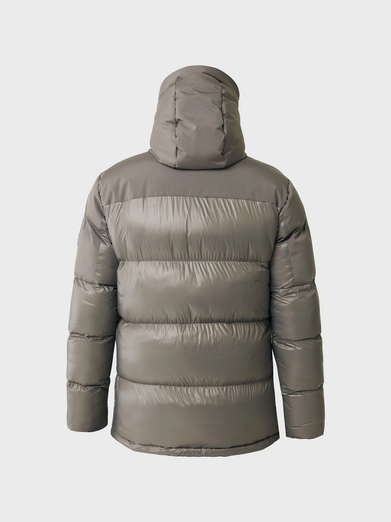 Куртки та дублянки MEXX модель MF006802243M Фото