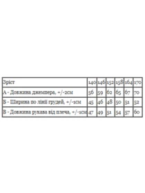 Худи и свитшоты Носи своє модель 6363-036-33-2-4-chornij-zhachok Фото