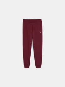 Брюки PUMA Ess Sweatpants Cl Fl (s) модель 682467 Фото
