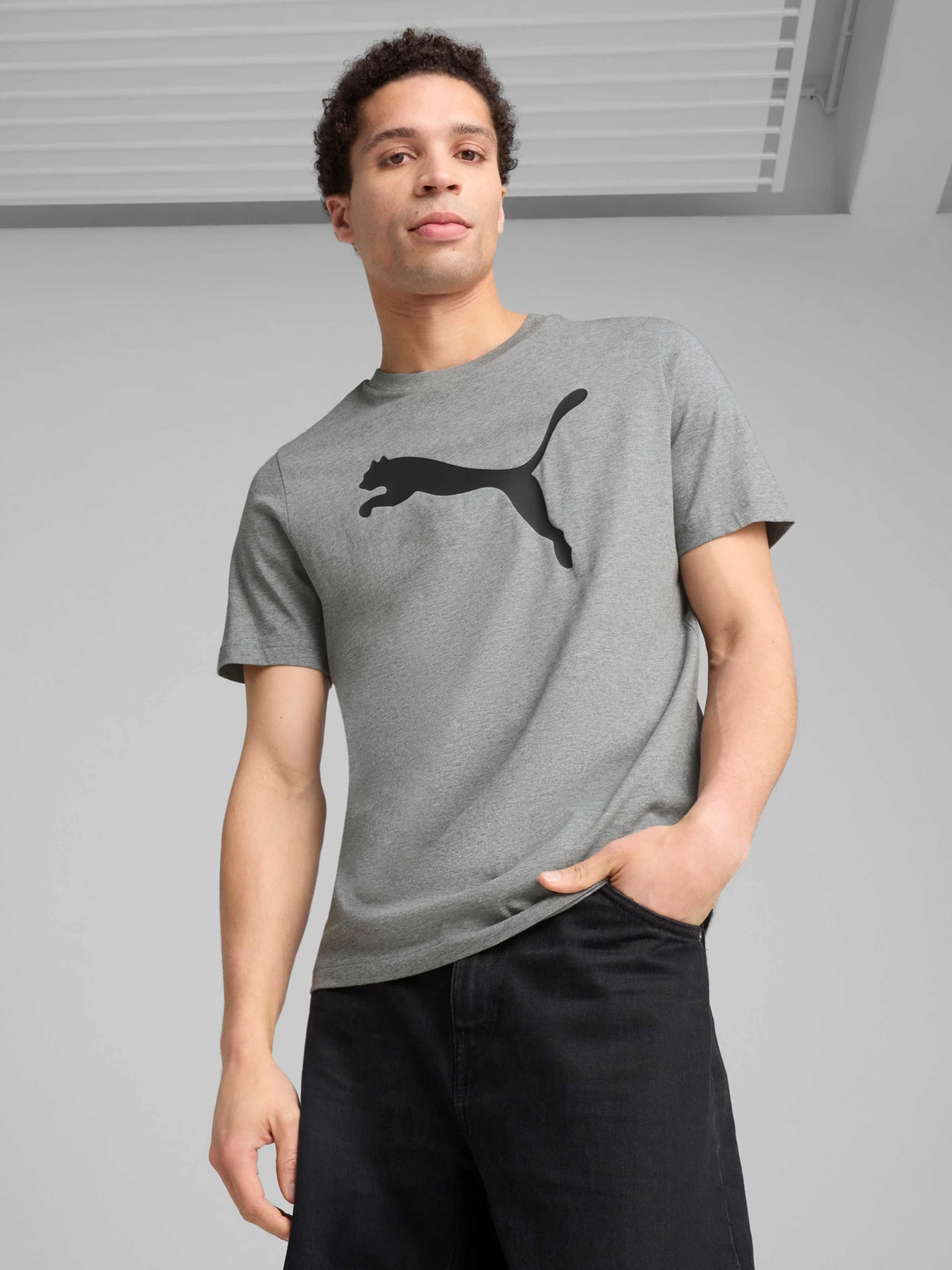 Футболки і поло PUMA Ess Tee модель 682536 Фото