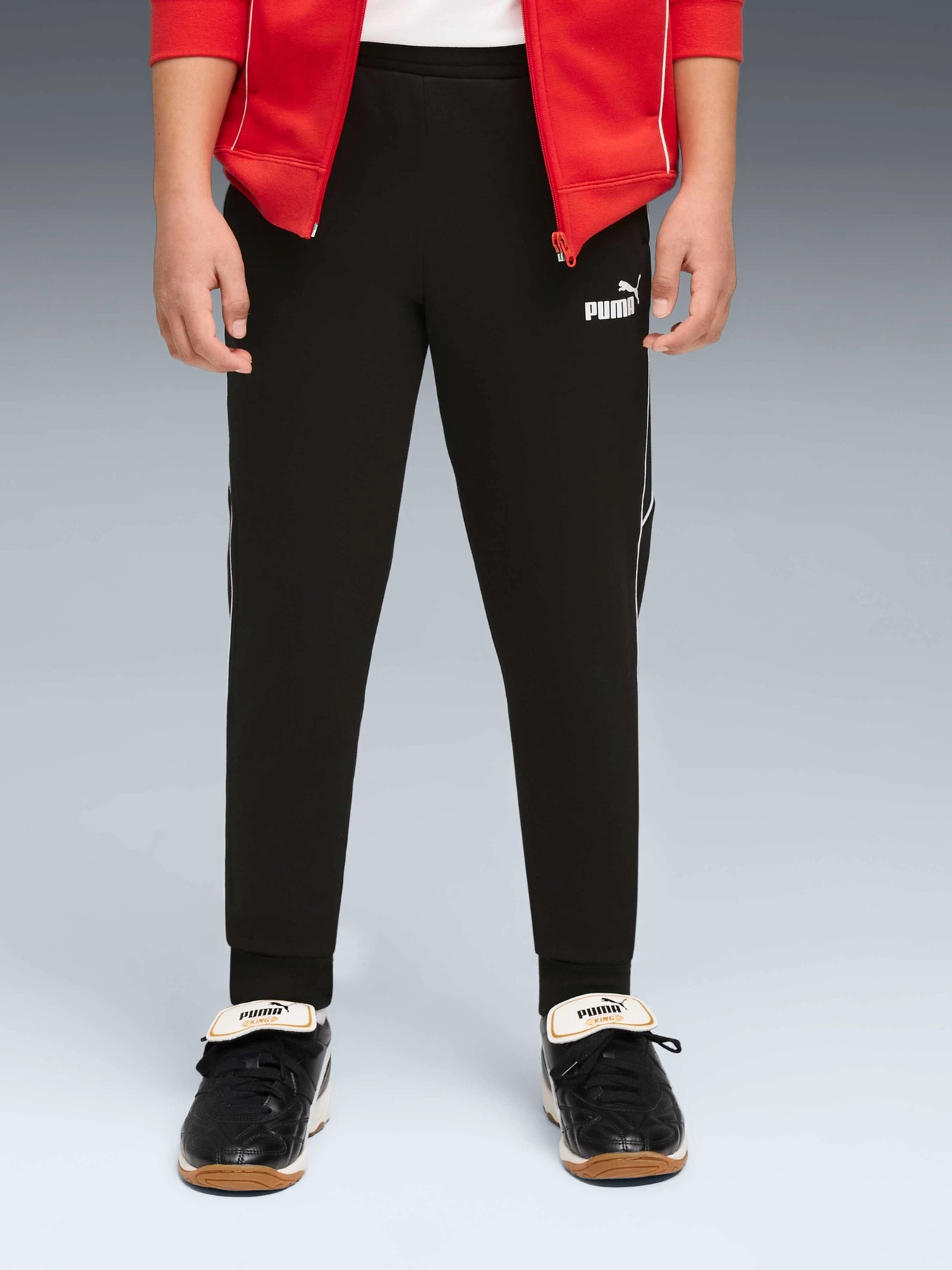 Брюки PUMA Sport Sweatpants Fl модель 689175 Брюки PUMA Sport Sweatpants Fl модель 689175 Фото