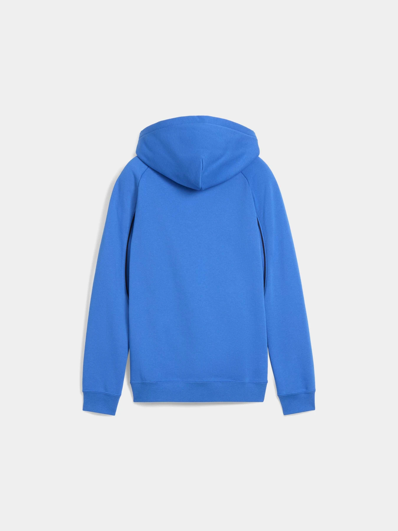 Худи и свитшоты PUMA Sport Hoodie Fl модель 688857 Фото