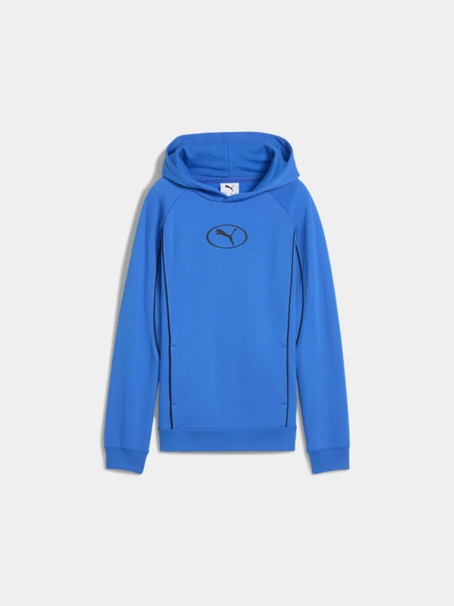 Худи и свитшоты PUMA Sport Hoodie Fl модель 688857 Фото