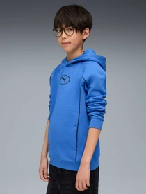 Худи и свитшоты PUMA Sport Hoodie Fl модель 688857 Фото