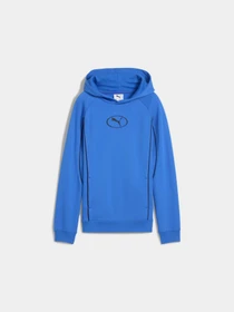 Худи и свитшоты PUMA Sport Hoodie Fl модель 688857 Фото
