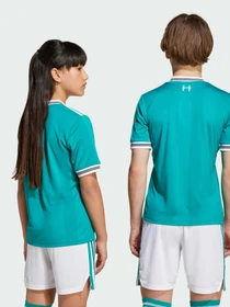 Футболки и поло Adidas модель JV6468 Фото