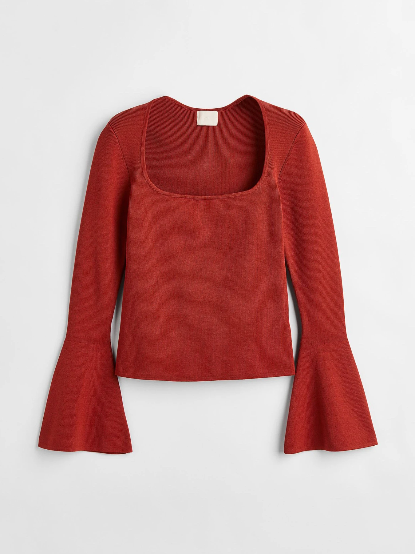 Худі та світшоти H&M модель 1125581ral_Терракотовый Фото