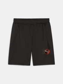 Шорты PUMA Active Sports Poly Shorts модель 527694 Фото