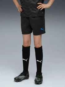 Шорты PUMA Individualcup Trg Shorts Jr модель 660249 Фото