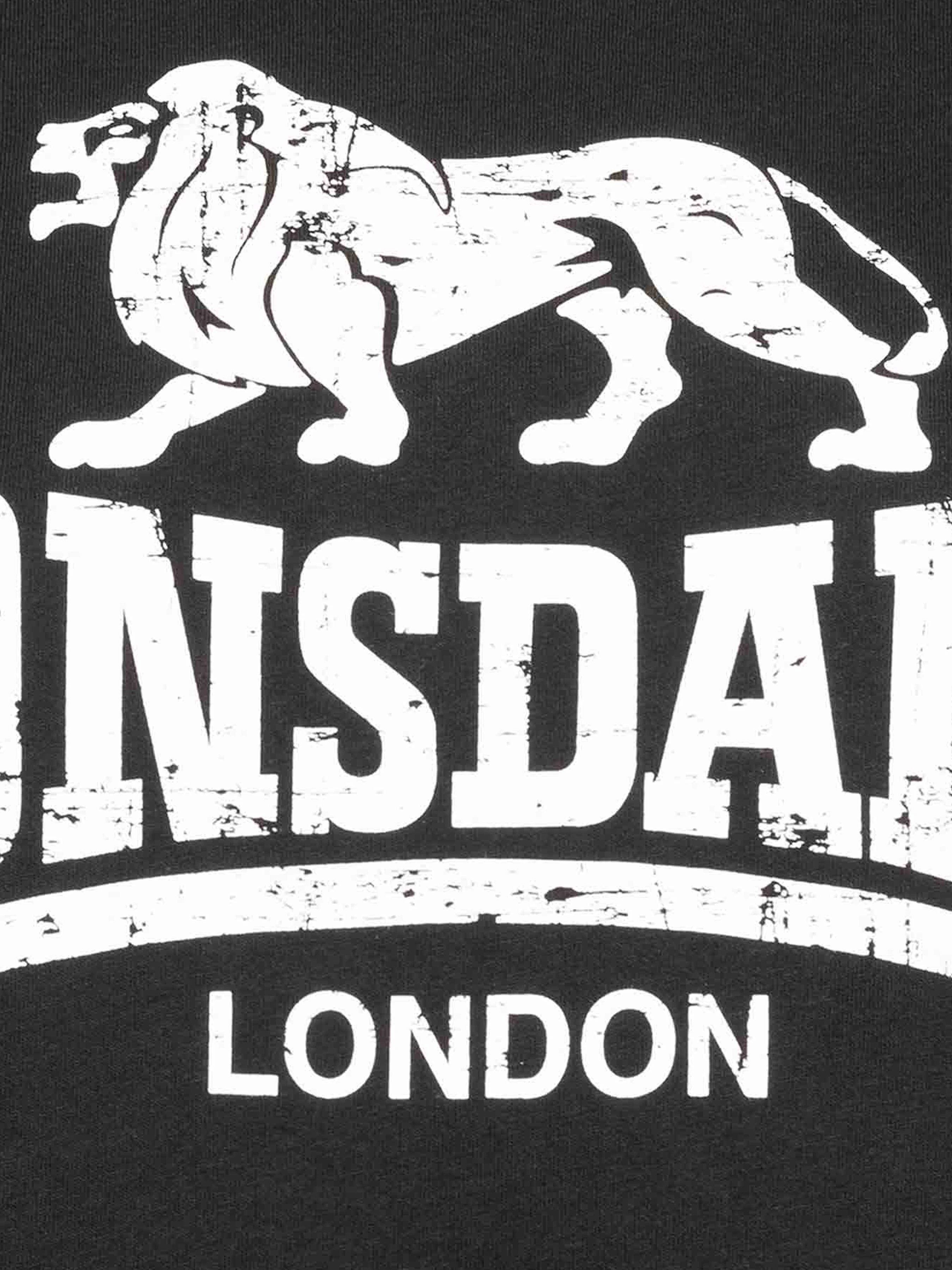 Бавовняна Чоловіча Футболка Lonsdale Silverhill фото 3