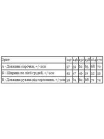 Сорочки Носи своє модель 6417-114-kltinka-temno-blakitnij Фото