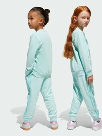Костюмы Adidas Adicolor модель JC6609 Фото