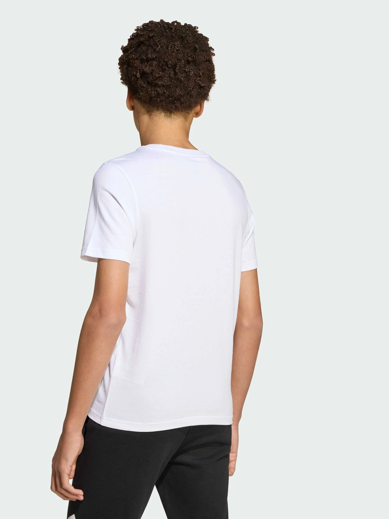 Футболки і поло Adidas модель JV5248 Футболки і поло Adidas модель JV5248 Фото