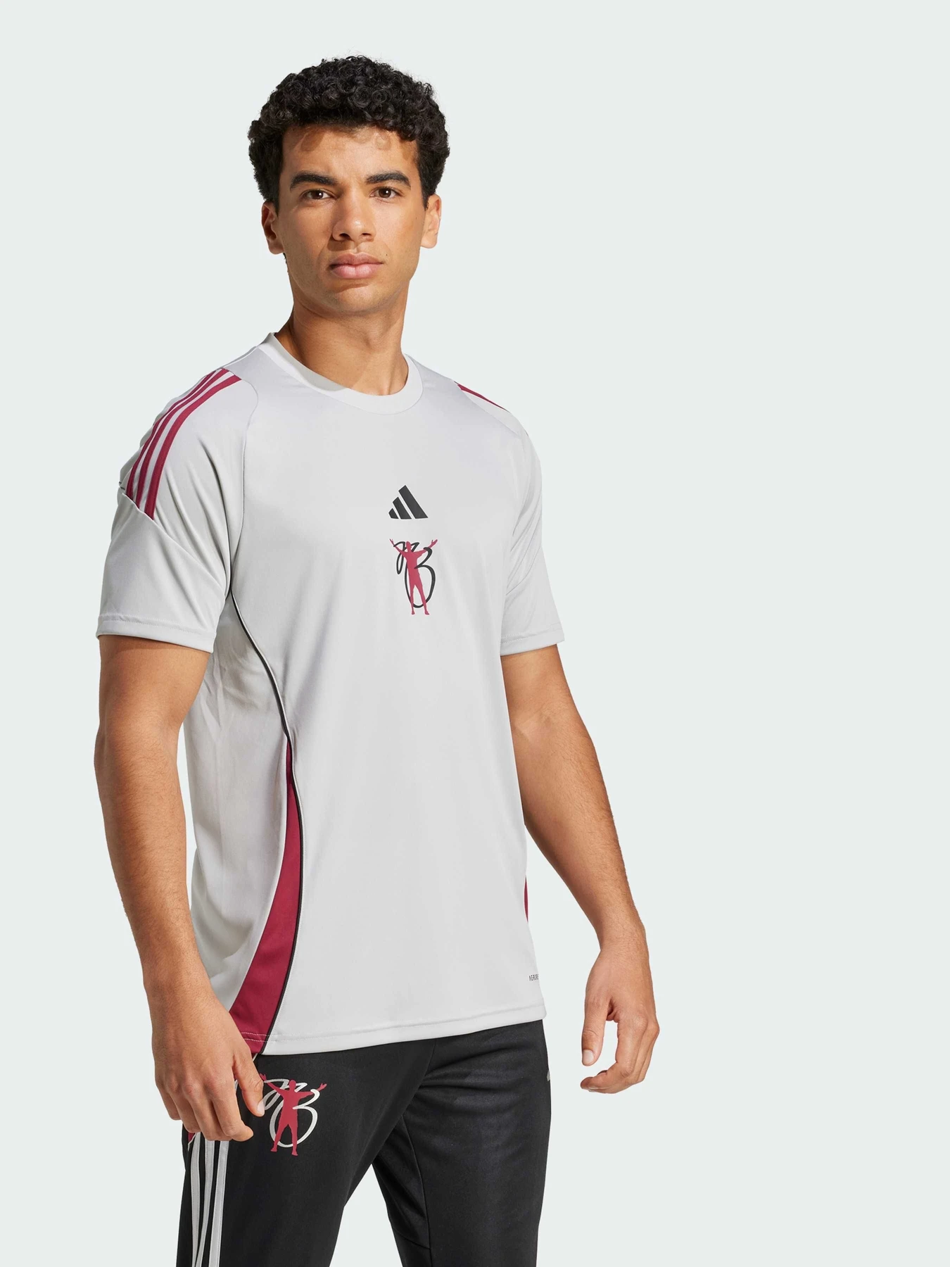 Футболки и поло Adidas модель JX1954 Футболки и поло Adidas модель JX1954 Фото