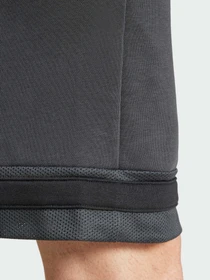 Шорты Adidas модель JD8090 Фото