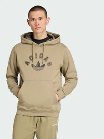 Худи и свитшоты Adidas Graphics модель JV7749 Фото