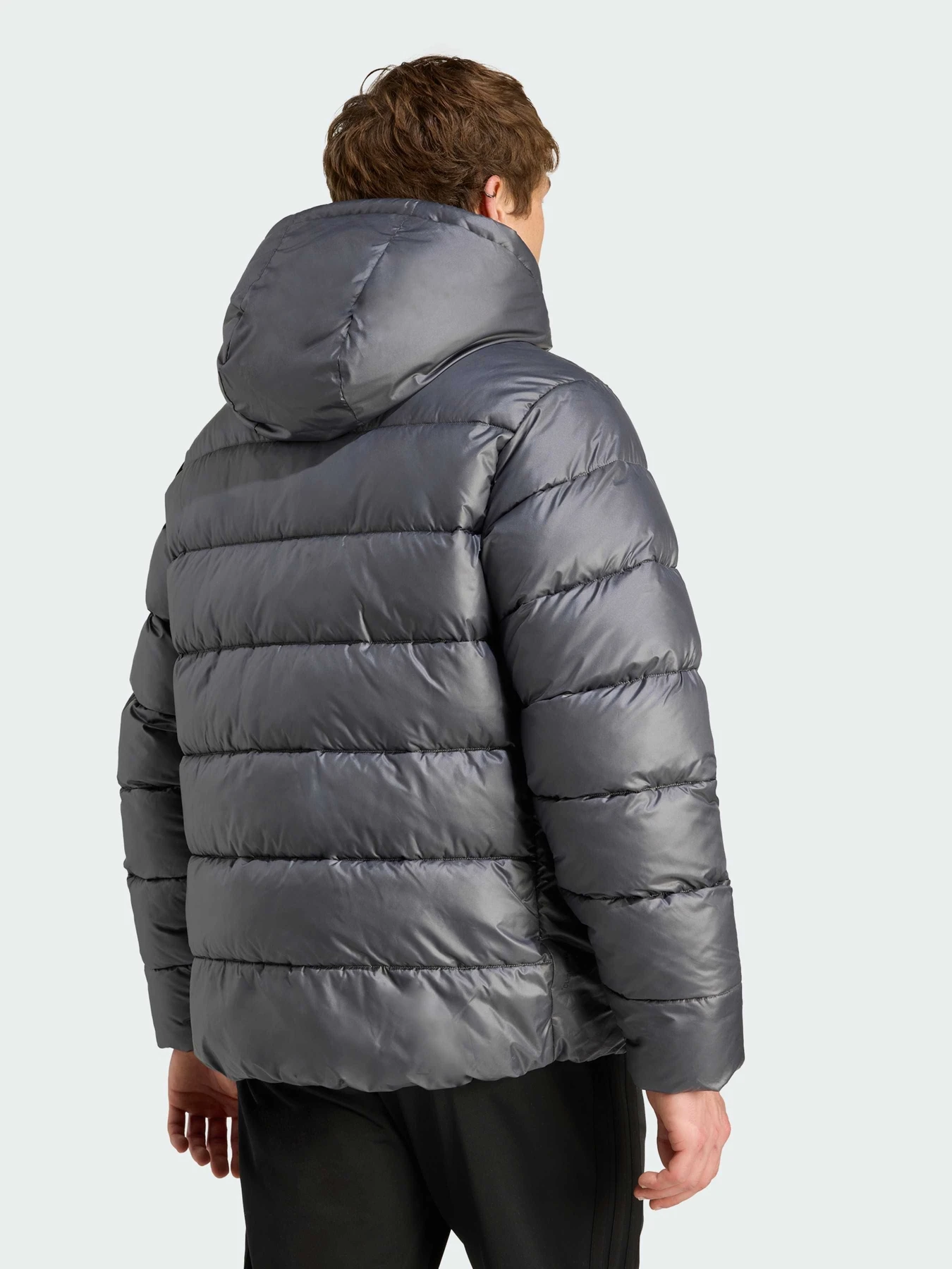 Куртки и дубленки Adidas модель JM8399 Фото