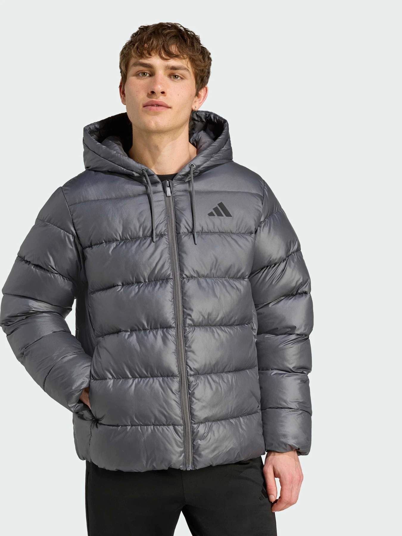 Куртки и дубленки Adidas модель JM8399 Фото