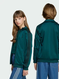 Худи и свитшоты Adidas Adicolor модель JV8588 Фото