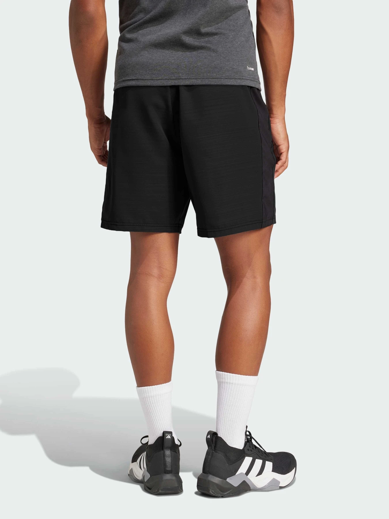 Шорты Adidas модель JM3655 Фото