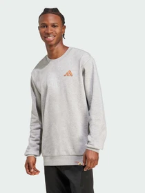 Худи и свитшоты Adidas модель JM6503 Фото