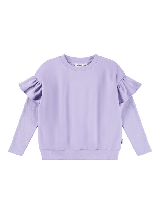 Худі та світшоти Molo модель 2W25J201.5496 Фото