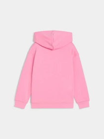 Худи и свитшоты PUMA x Hk&fr Graphic Hoodie модель 632387 Фото