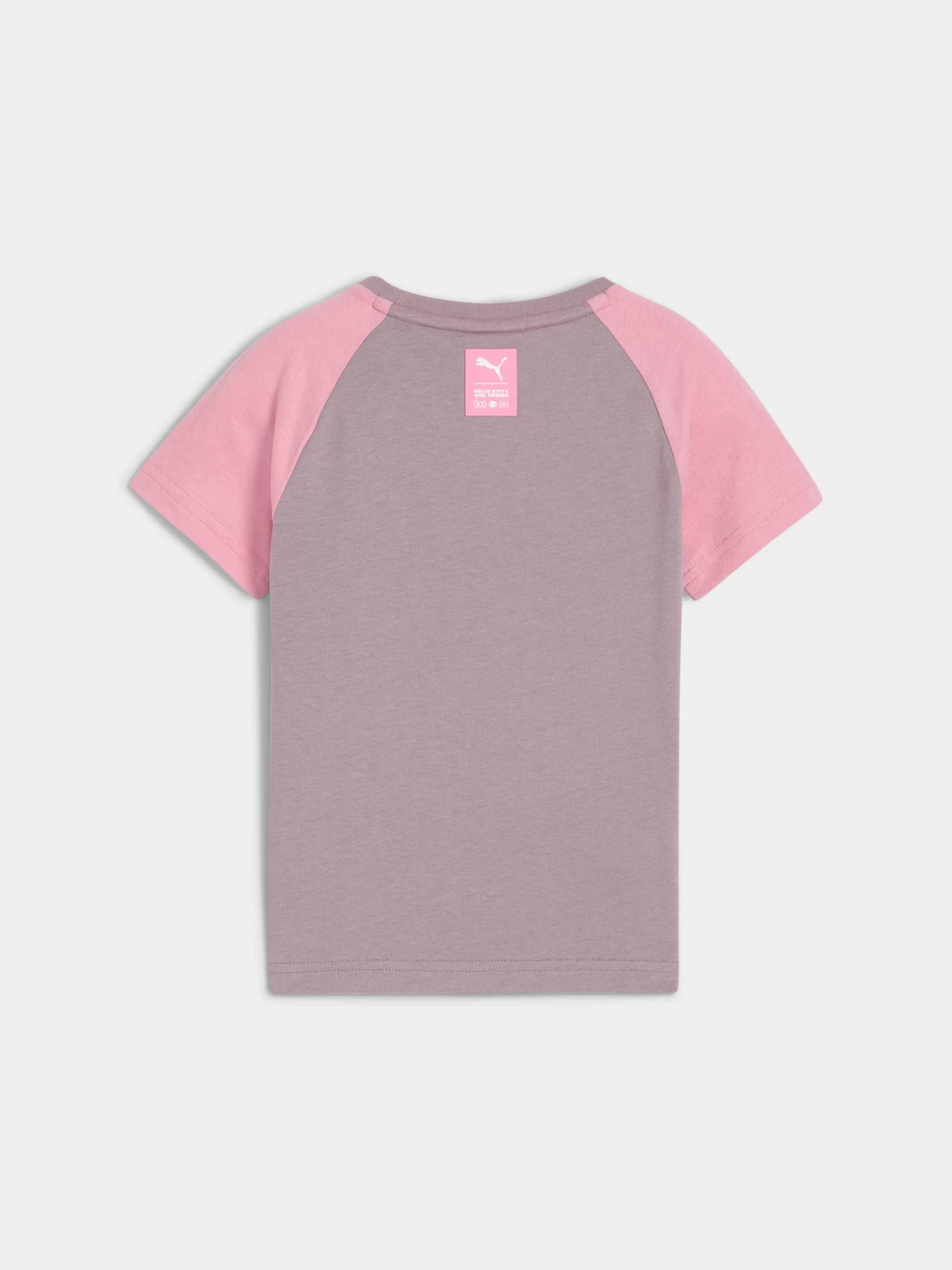 Футболки и поло PUMA x Hk&fr Slim Tee модель 632391 Футболки и поло PUMA x Hk&fr Slim Tee модель 632391 Фото