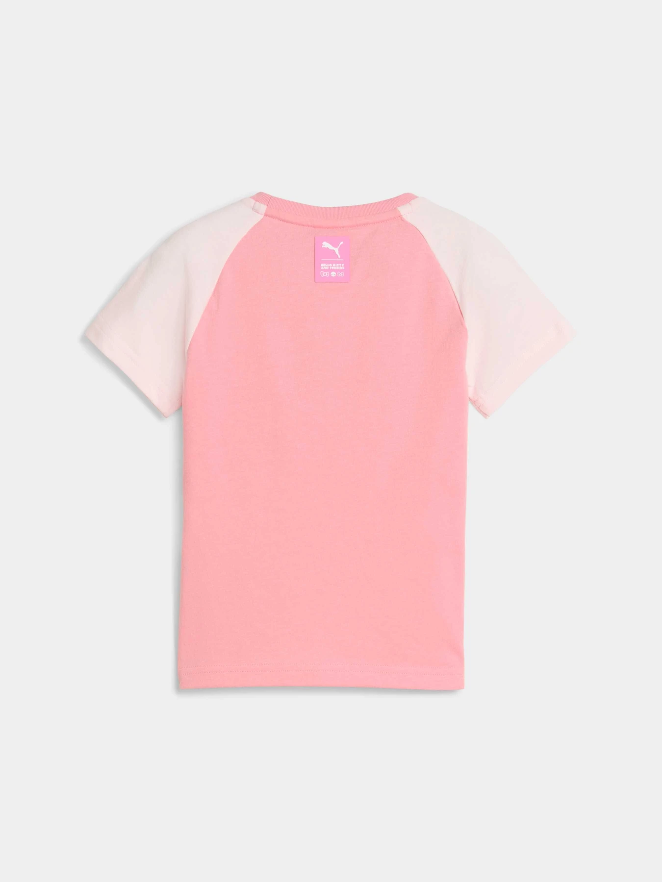 Футболки и поло PUMA x Hk&fr Slim Tee модель 632391 Футболки и поло PUMA x Hk&fr Slim Tee модель 632391 Фото