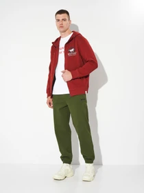 Худі та світшоти Mustang Jeans Brian Zip- Hood модель 1014163 Фото