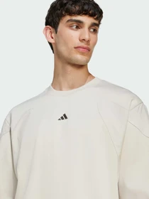 Худи и свитшоты Adidas модель JV8020 Фото