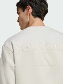 Худи и свитшоты Adidas модель JV8020 Фото