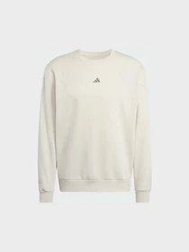 Худи и свитшоты Adidas модель JV8020 Фото