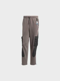 Брюки Adidas модель JV8022 Фото
