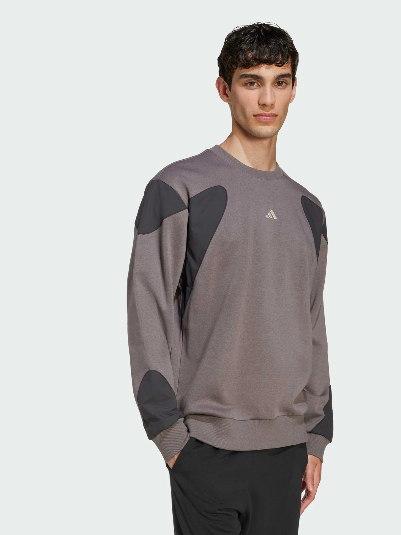 Худи и свитшоты Adidas модель JV8019 Фото